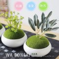 Wa Bonsai・和盆栽 消臭アーティフィシャルグリーン 丸鉢タイプ